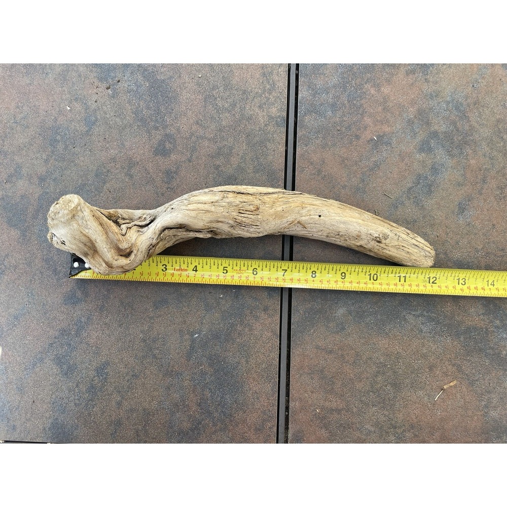 Natural Driftwood for Plants Terrarium Taxidermy Art Projects - Picture 4 of 5
